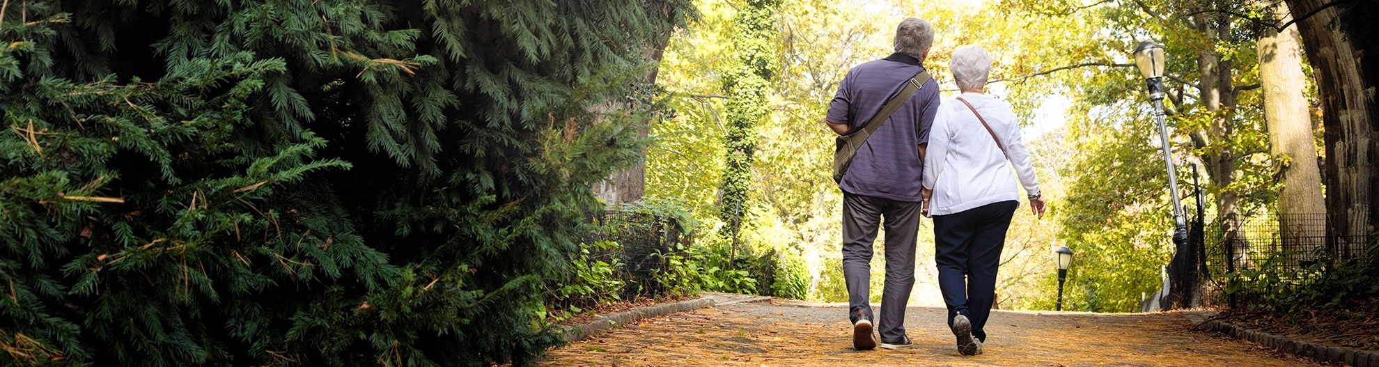 Couple walking on a fall day in a park